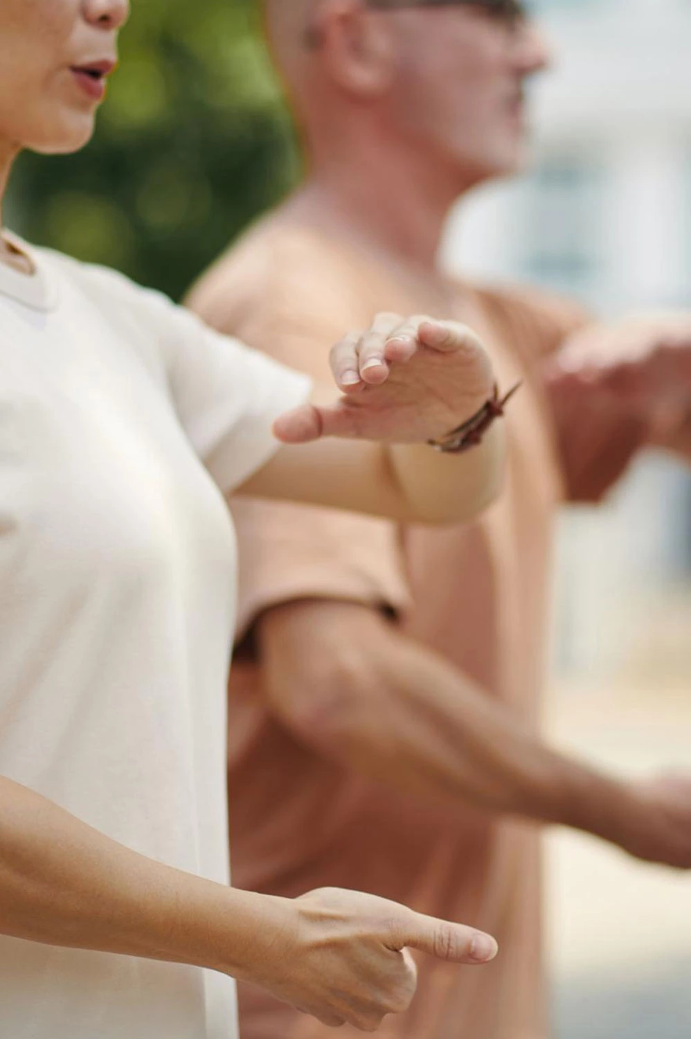 Two individuals practicing Medical Qigong in a serene outdoor setting. One person stands in a relaxed posture with arms extended, demonstrating focus and balance, while the other follows in a similar stance, embodying harmony and mindfulness. The background includes natural elements like trees and grass, enhancing the peaceful atmosphere of the practice.